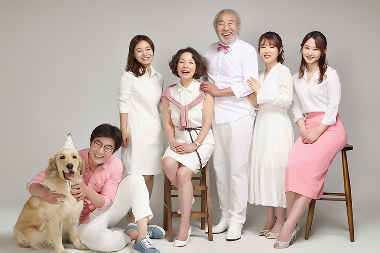 반려동물 컨셉